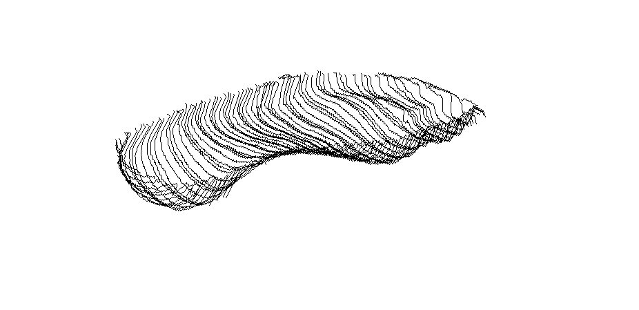 Click on image to rotate foot